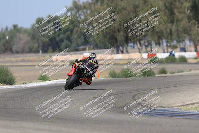 media/Sep-07-2025-Pacific Track Time (Sun) [[a6322260b9]]/A and B Group/Wheelie Bump A and B/